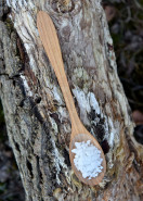 Drevená lyžica, čerešňové drevo, cca. 21 x 4 cm